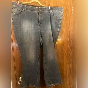 Lane Bryant jeans. Petite